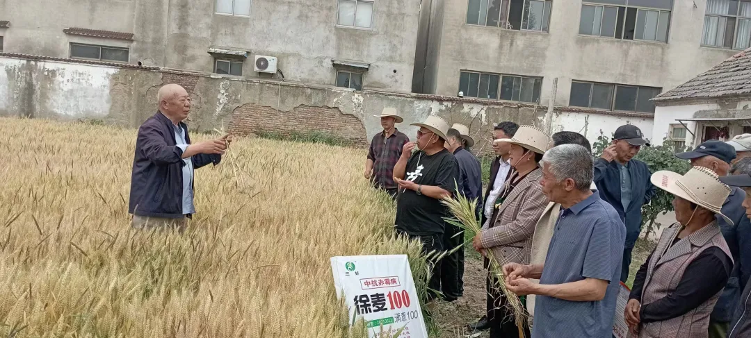 尚文成指导种植户防虫.png